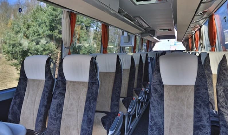 Slovenia: Coach charter in Savinja in Savinja and Slovenske Konjice