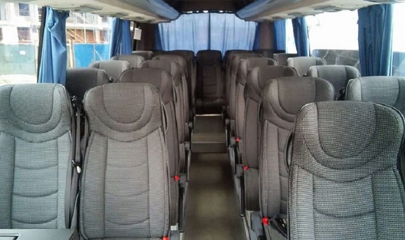 Austria: Coach hire in Styria in Styria and Friedberg
